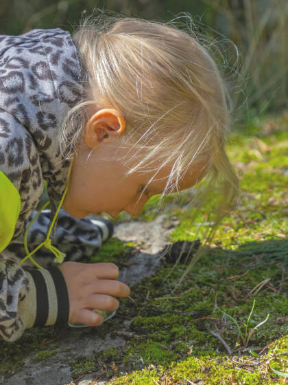 Tyttö tutkii sammaleista kalliota.