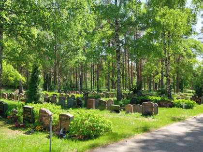 Hautakiviriviä vehreiden koivujen keskellä.