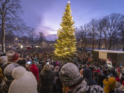 Paljon ihmisiä katsomassa isoa joulukuusta
