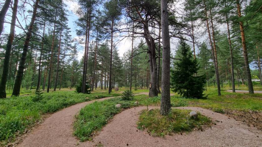 Metsäinen polku, joka kiemurtelee puiden keskellä. Taustalla näkyy vihreitä puita ja kirkas taivas.