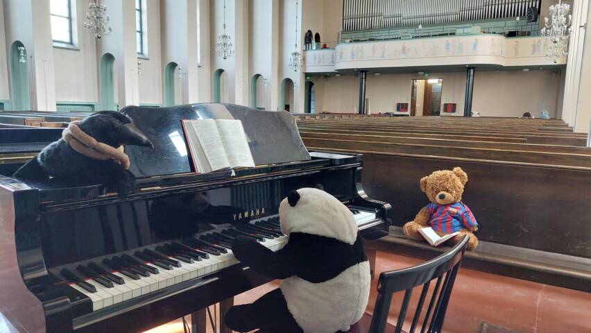 Tempo-panda soittaa pianoa Martinkirkossa