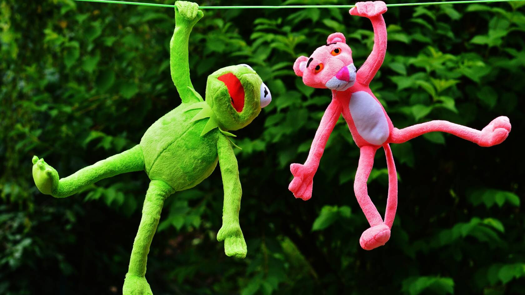Kermit och Pink Panter hängande i en tvättlina.