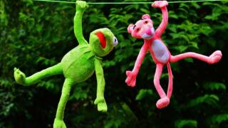 Kermit och Pink Panter hängande i en tvättlina.