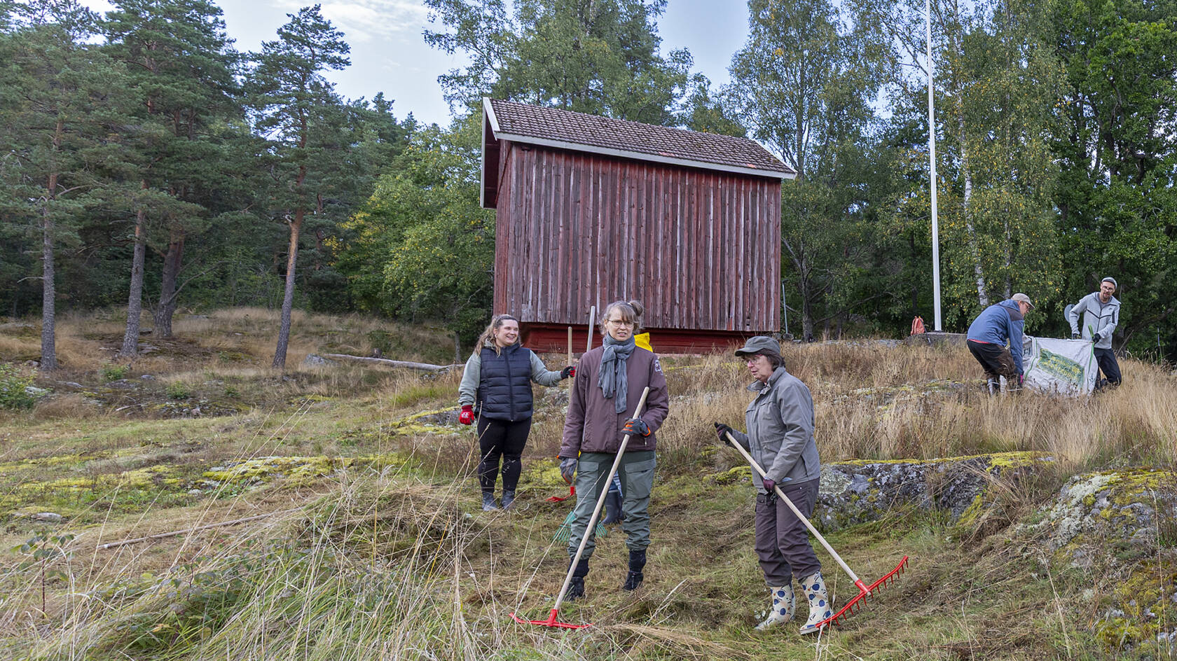 Talkoot Piikkiön kalliokedolla syksyllä 2025. Kuva Timo Jakonen