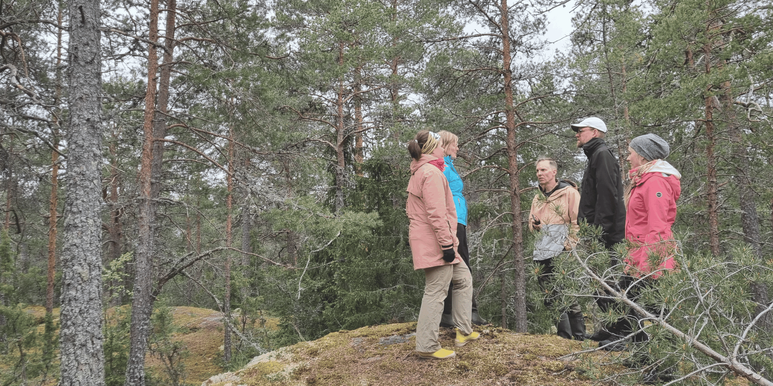Joukko ihmisiä sammaleisen kallion päällä. Metsä on vanha.