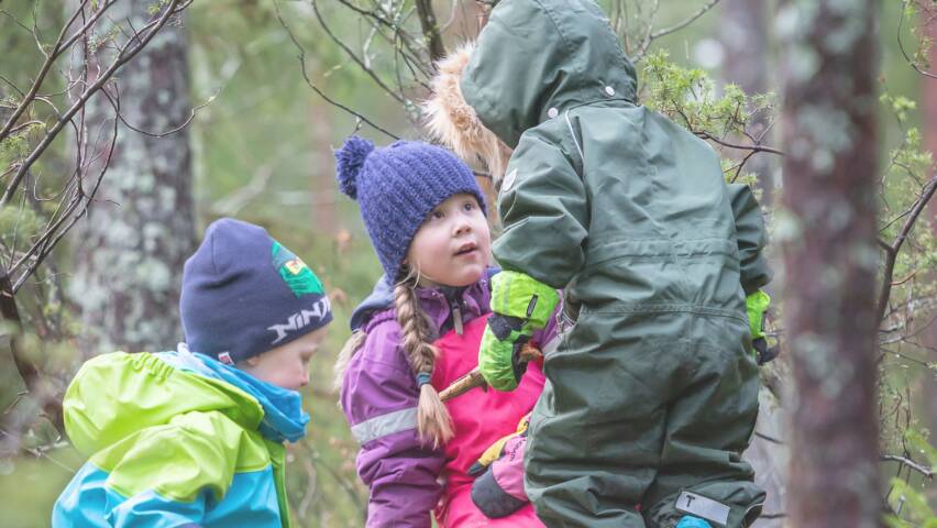 Kolme lasta leikkii metsässä